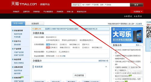 2012年网上开店卖什么合适
