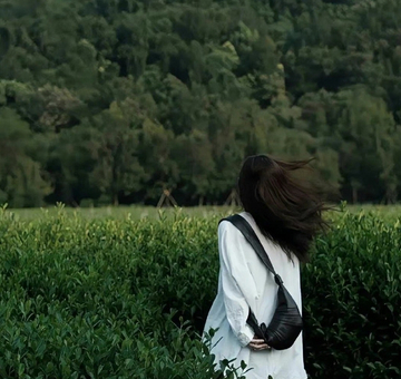 2024最建议买的华为手机（2024双11华为手机推荐与避坑指南）2024双11华为手机推荐与避坑指南